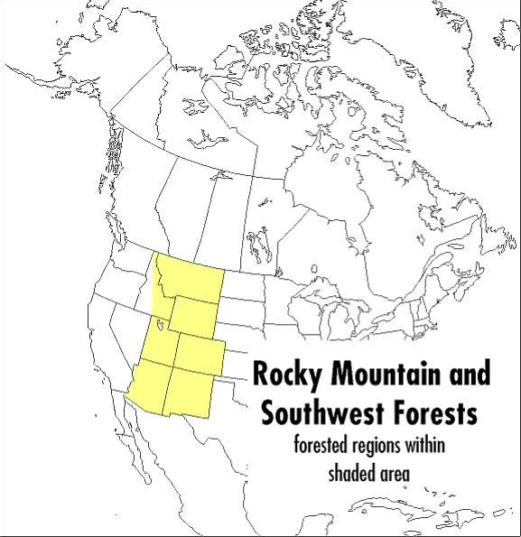 A Field Guide to Rocky Mountain and Southwest Forests