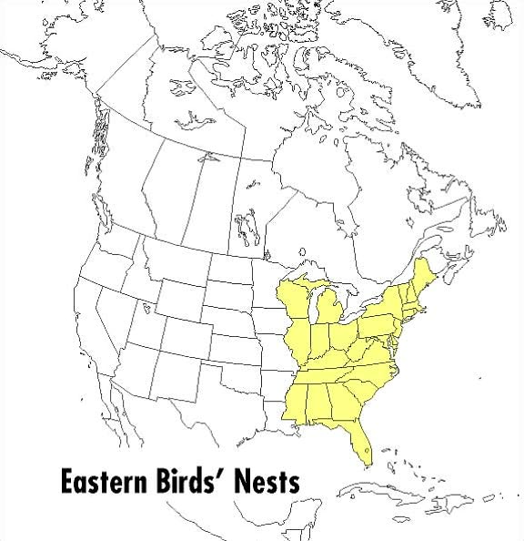 A Field Guide to Eastern Birds' Nests: United States east of the Mississippi River