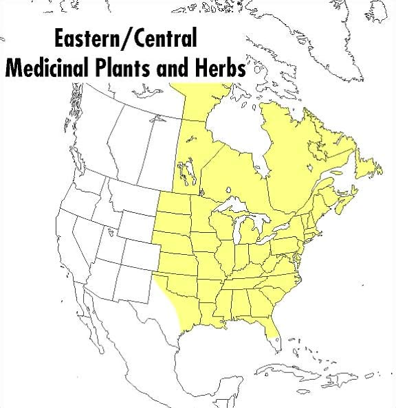 A Field Guide to Medicinal Plants and Herbs: Of Eastern and Central North America