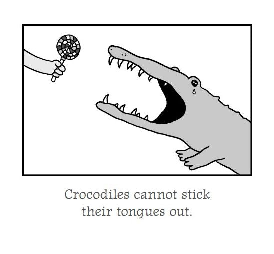 The Totally Awesome Book of Useless Information