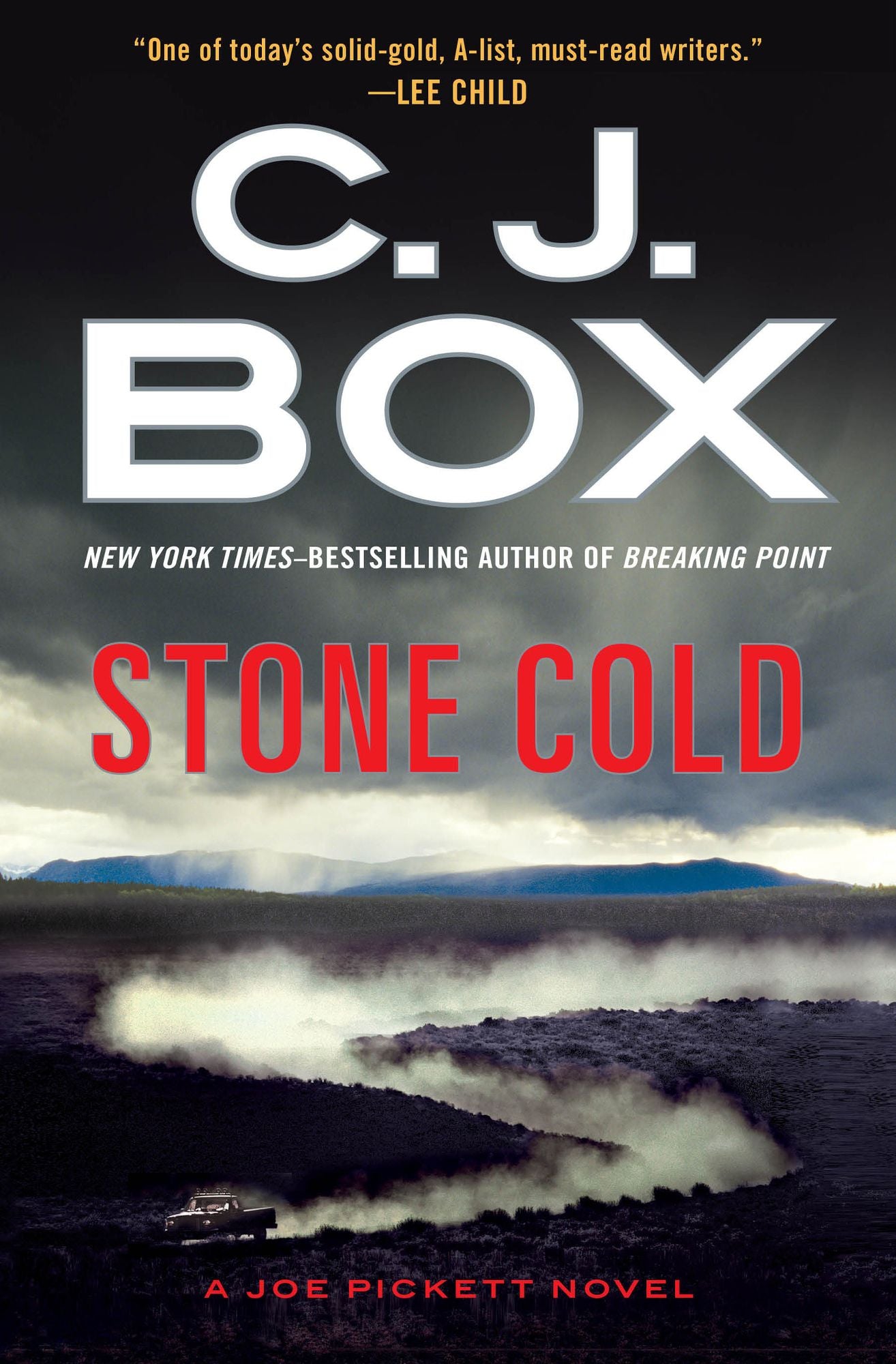 Stone Cold (Joe Pickett Series #14)