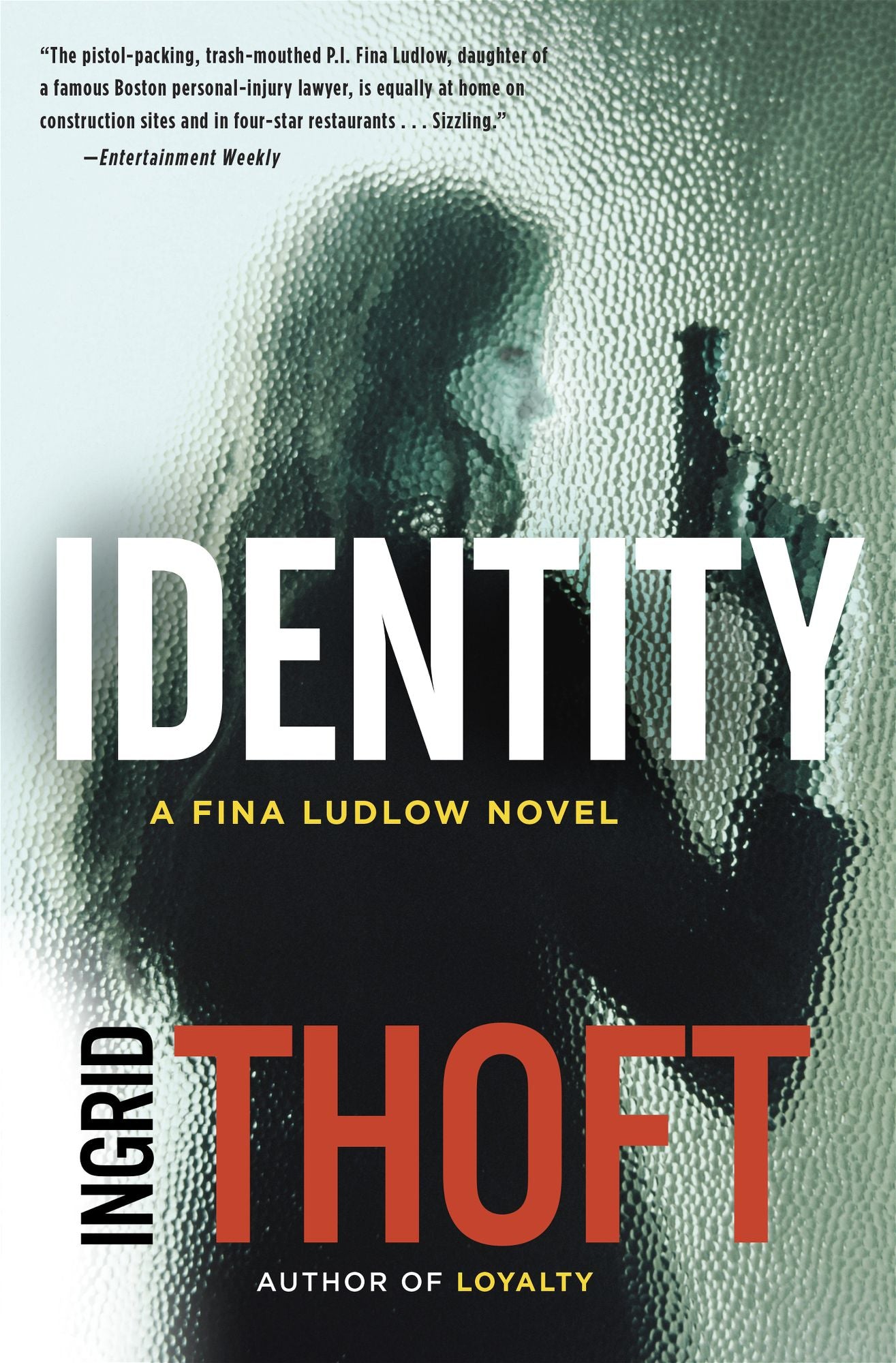 Identity (Fina Ludlow Series #2)