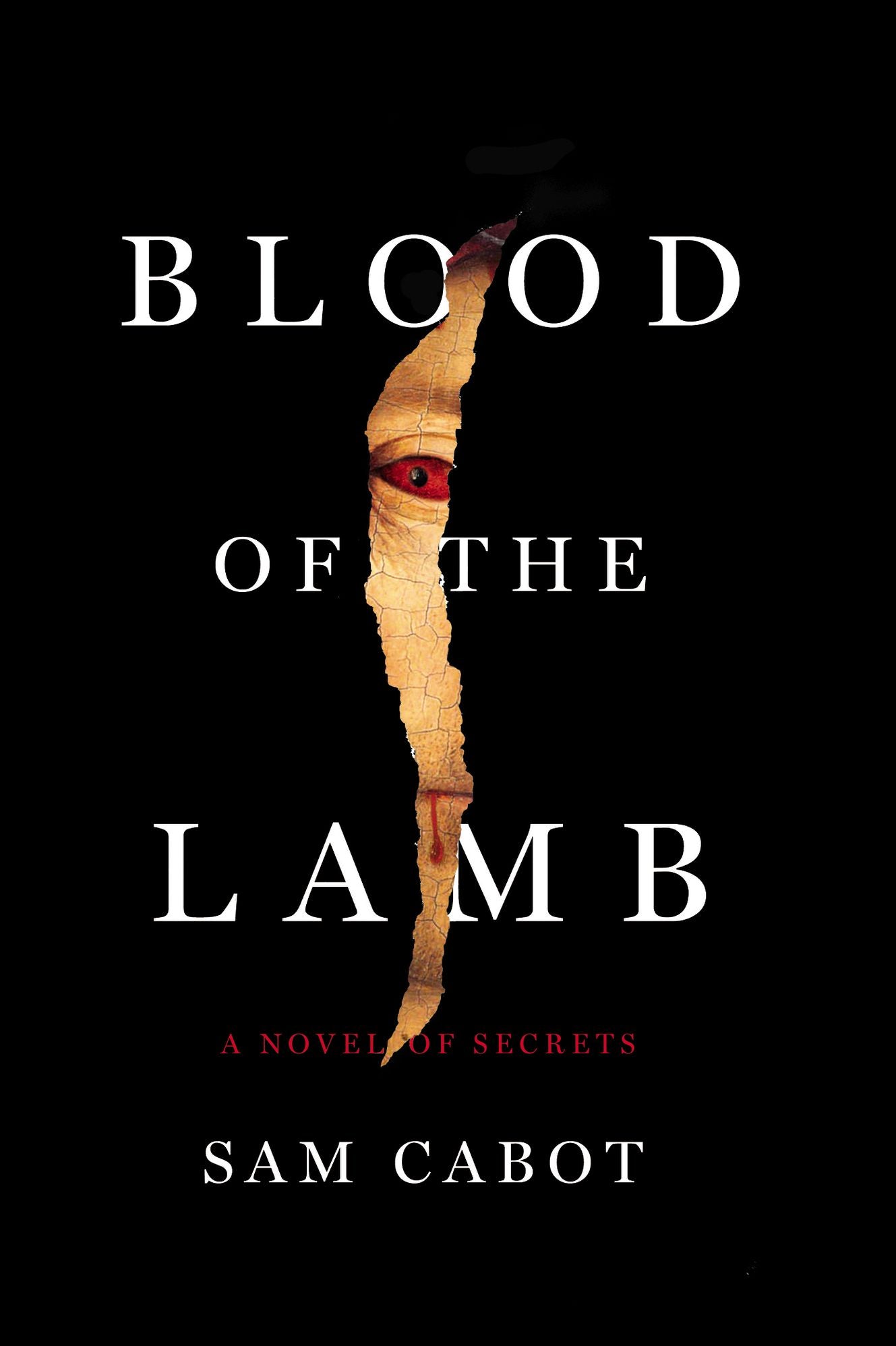 Blood of the Lamb: A Novel of Secrets