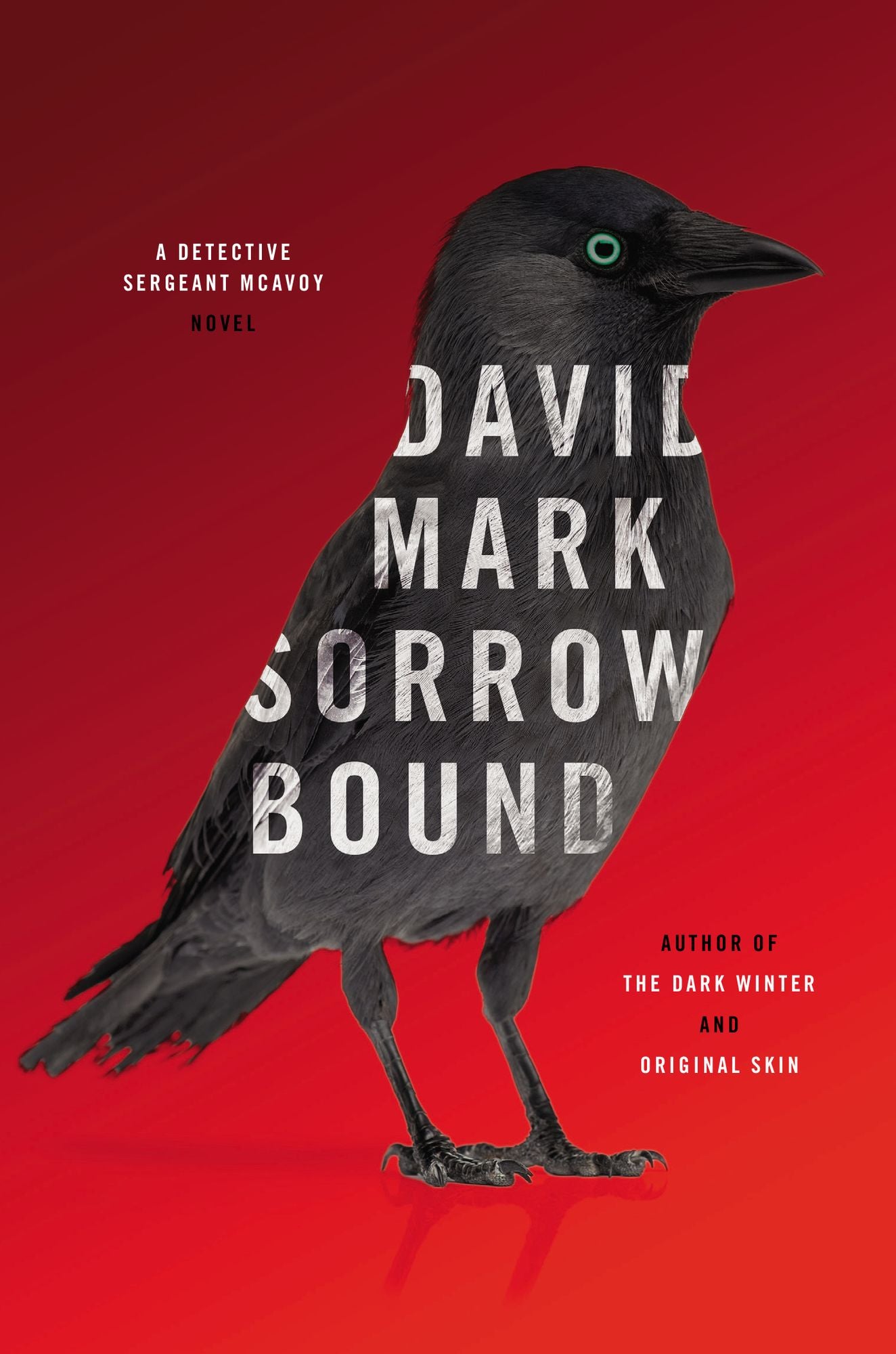 Sorrow Bound (Detective Sergeant McAvoy Series #3)