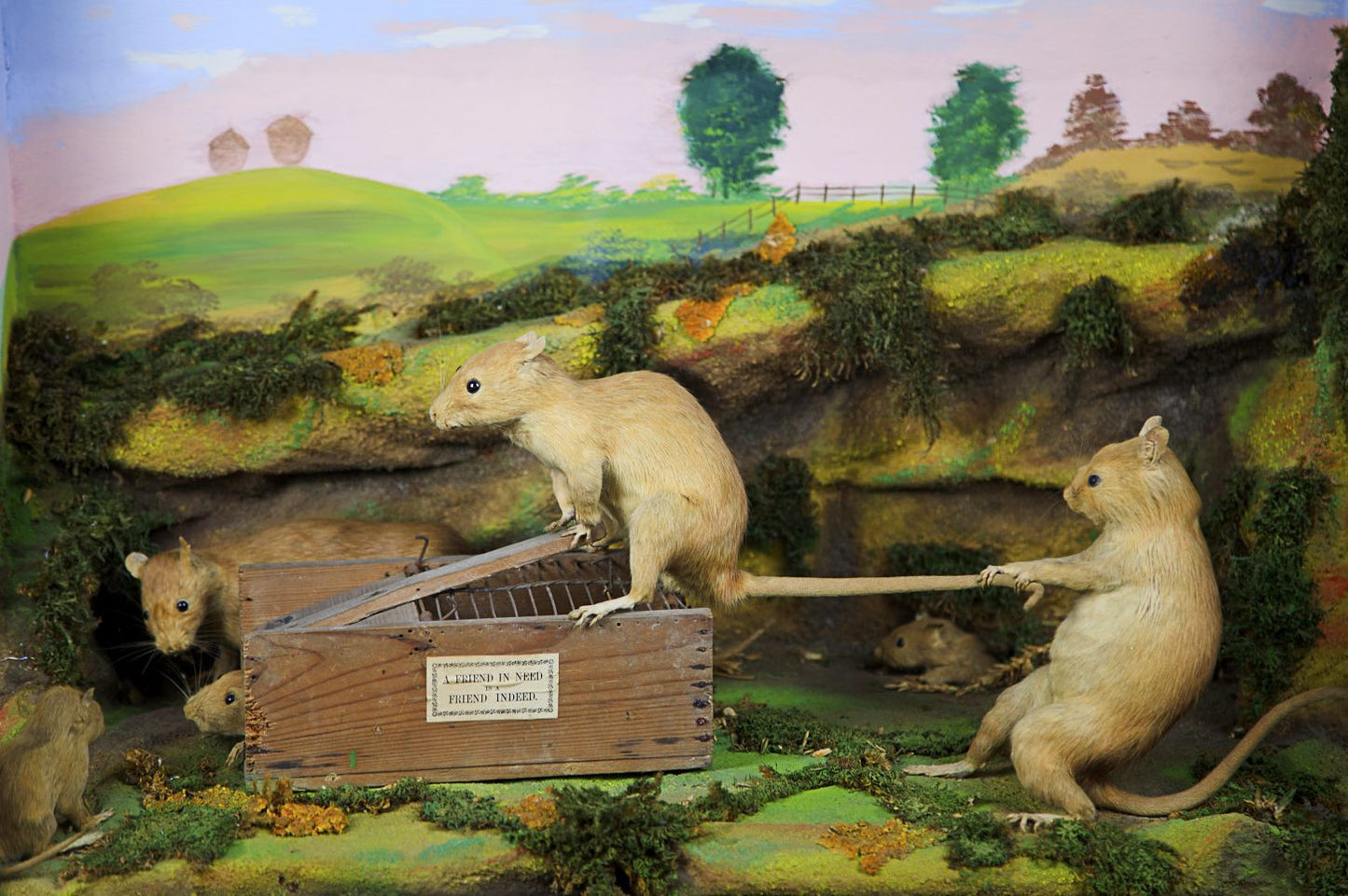 Walter Potter's Curious World of Taxidermy