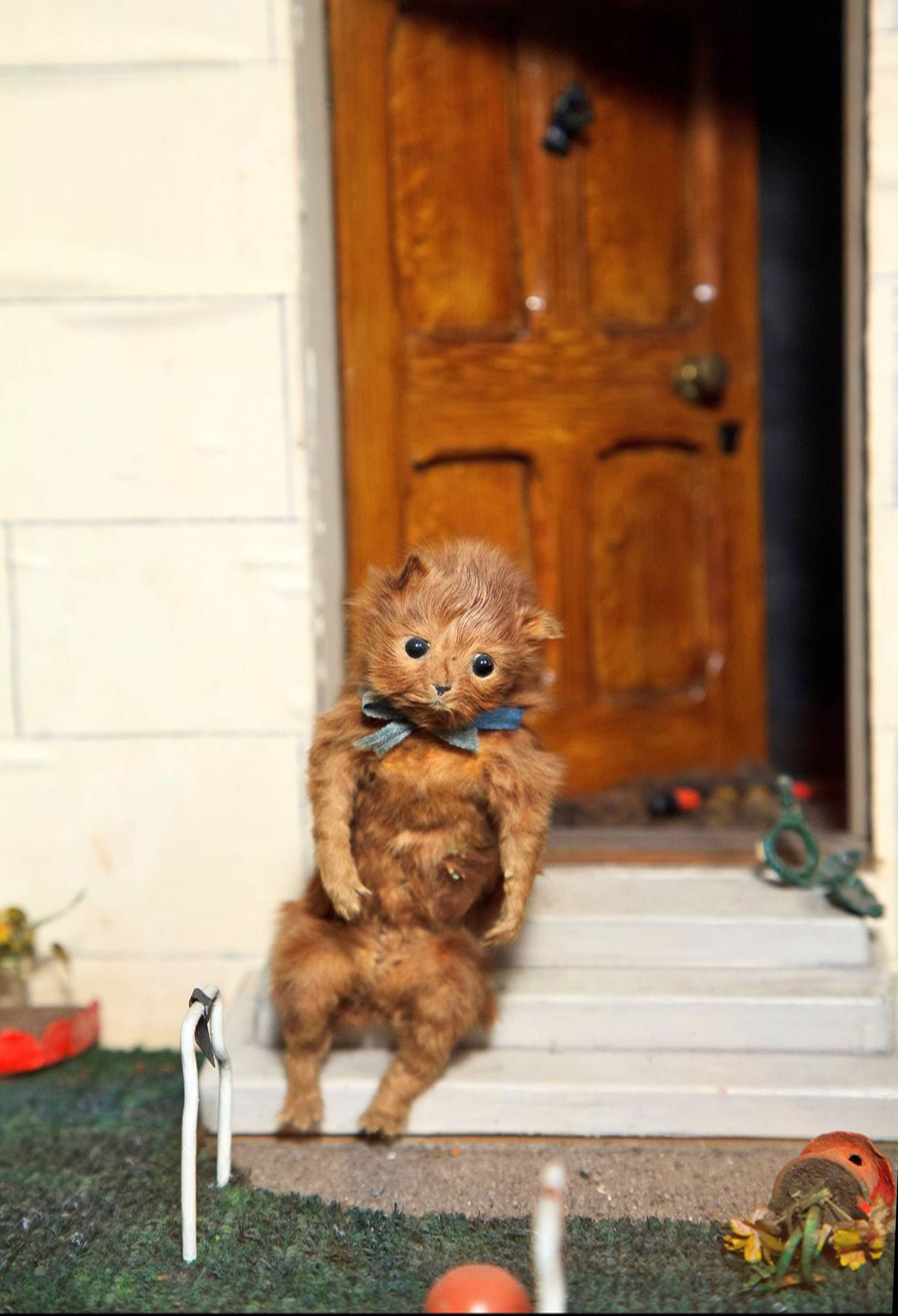 Walter Potter's Curious World of Taxidermy