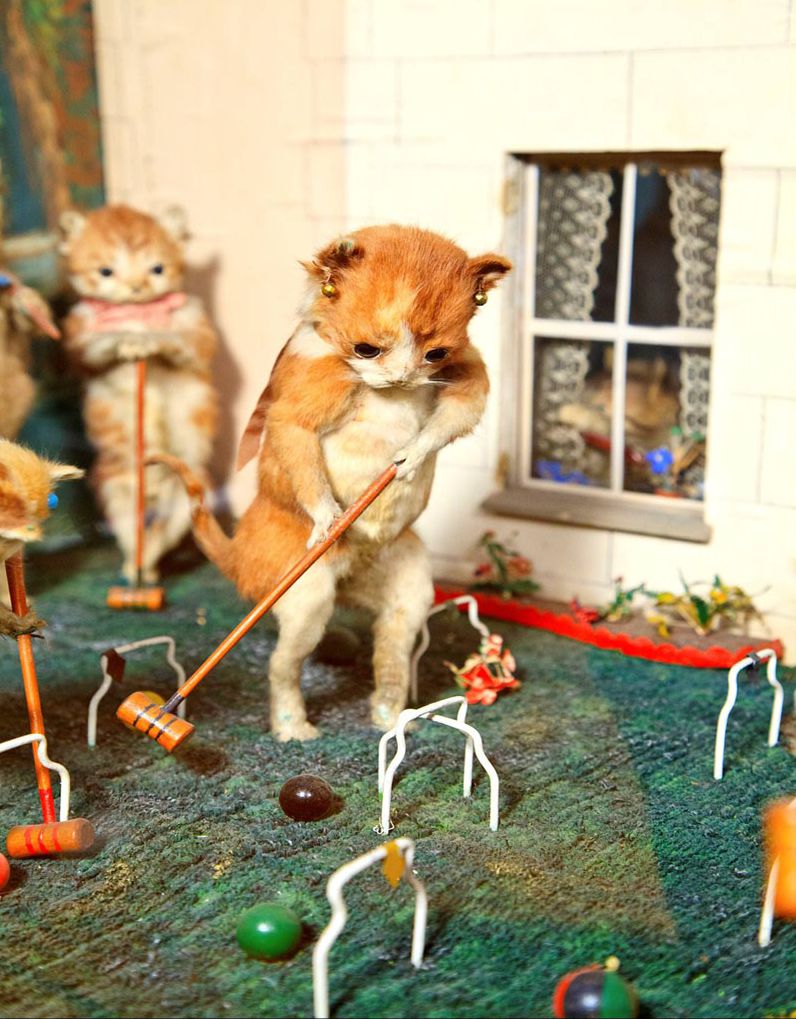 Walter Potter's Curious World of Taxidermy