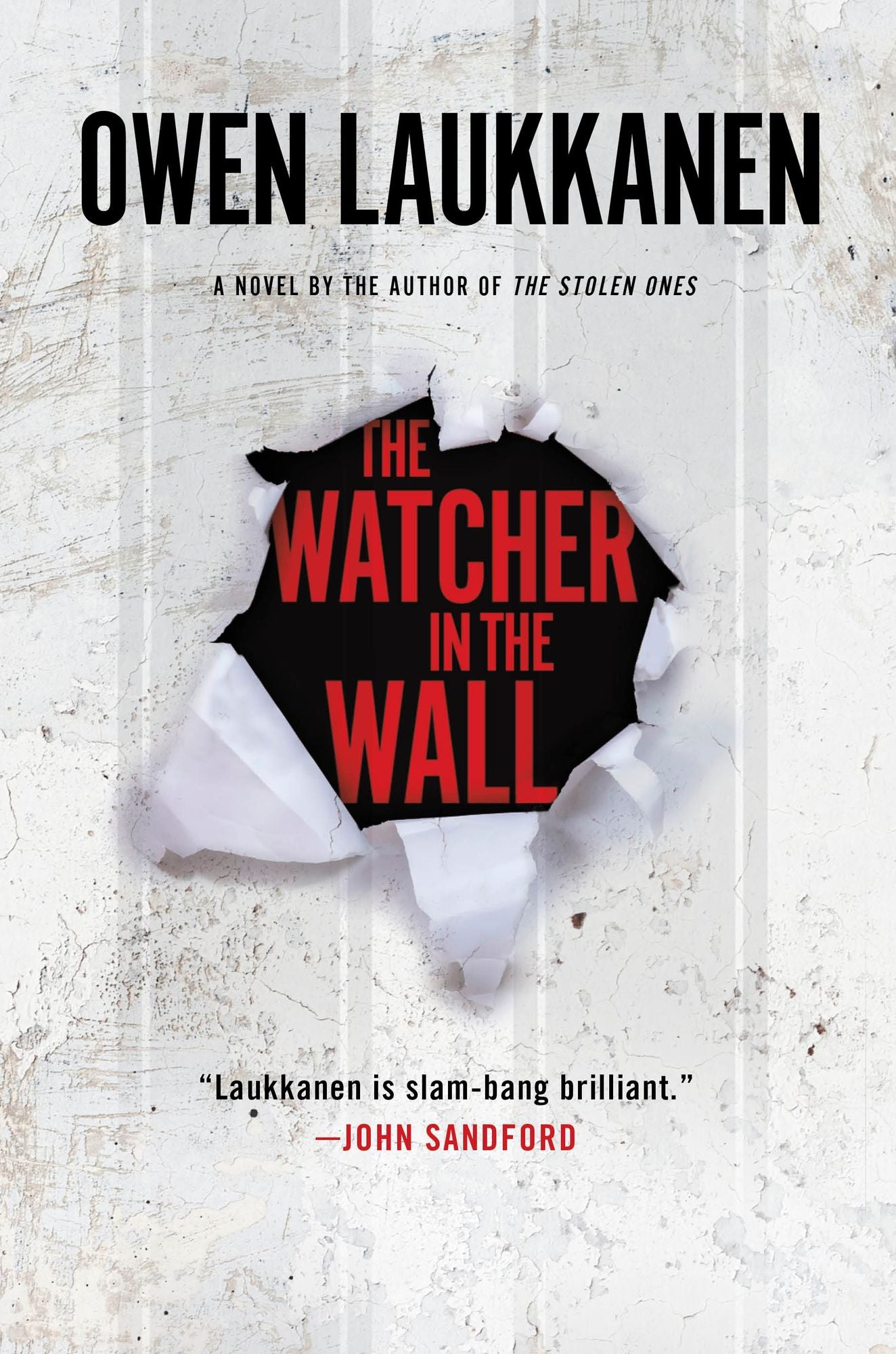 The Watcher in the Wall (Stevens and Windermere Series #5)