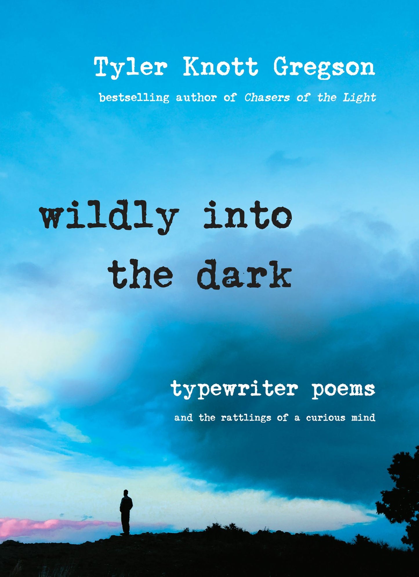 Wildly Into the Dark: Typewriter Poems and the Rattlings of a Curious Mind