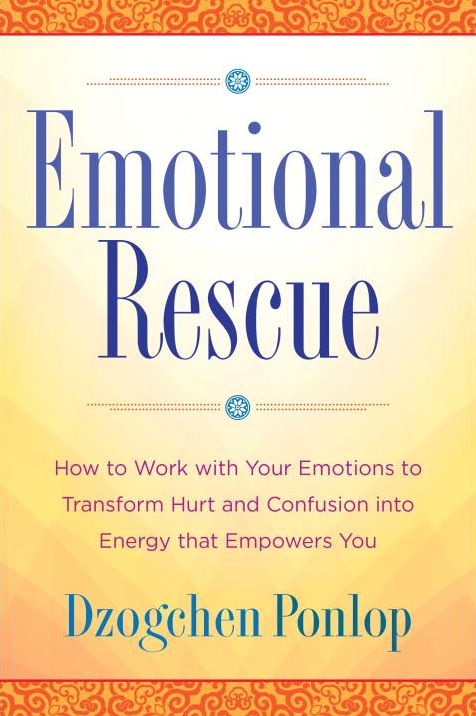 Emotional Rescue: How to Work with Your Emotions to Transform Hurt and Confusion into Energy That Empowers You