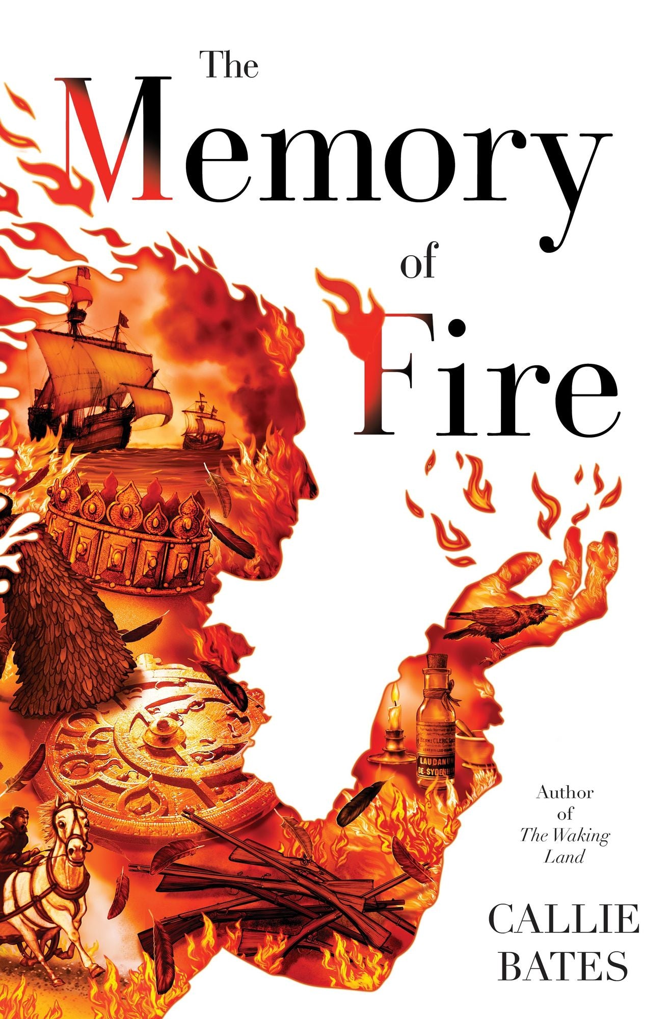 The Memory of Fire