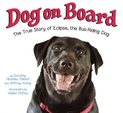Dog on Board: The True Story of Eclipse, the Bus-Riding Dog