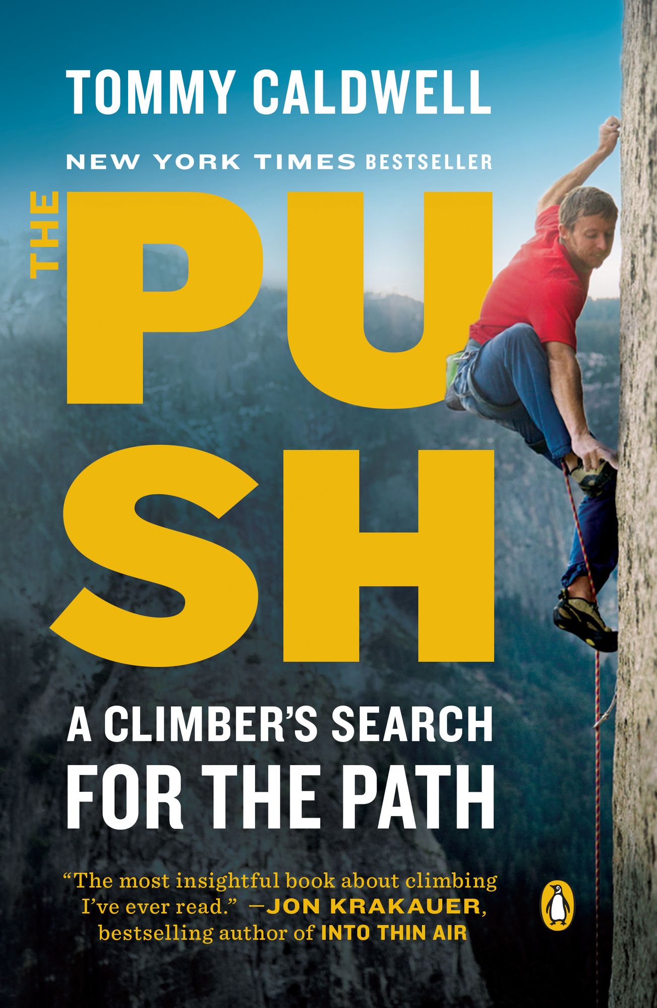 The Push: A Climber's Journey of Endurance, Risk, and Going Beyond Limits