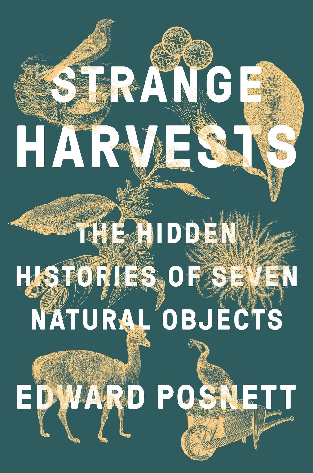 Strange Harvests : The Hidden Histories of Seven Natural Objects