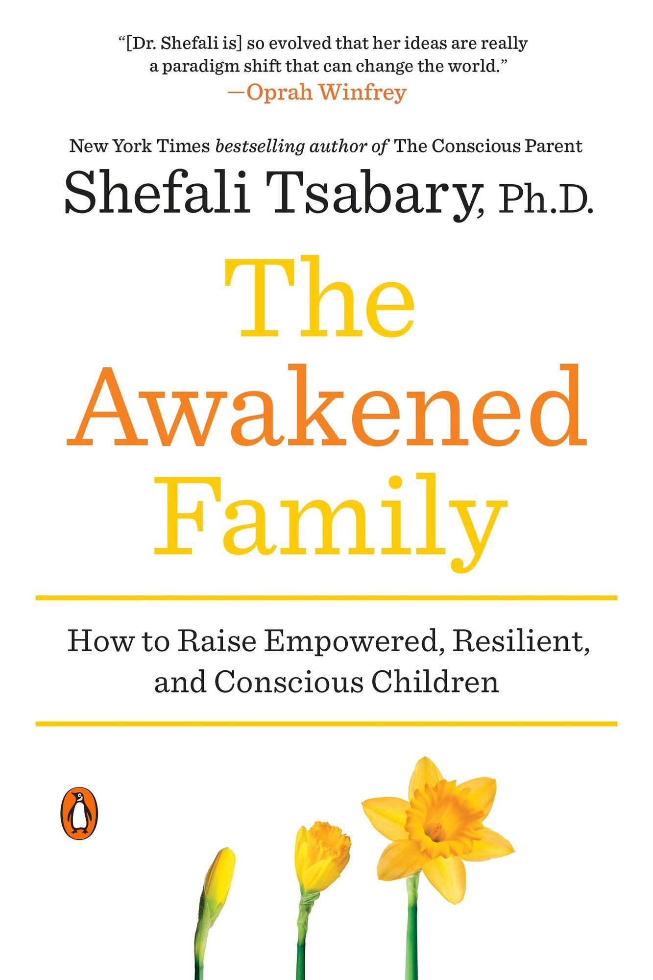 The Awakened Family: A Revolution in Parenting