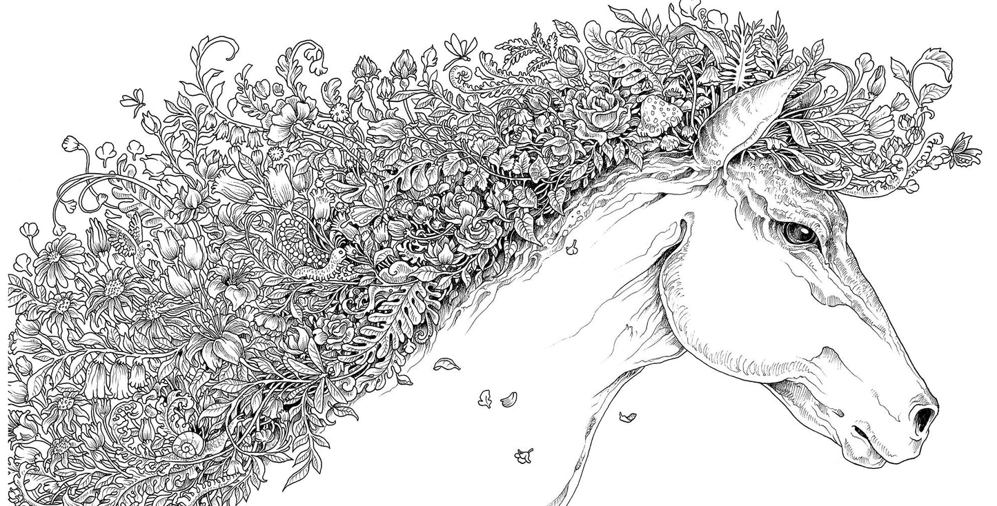 Imagimorphia: An Extreme Coloring and Search Challenge