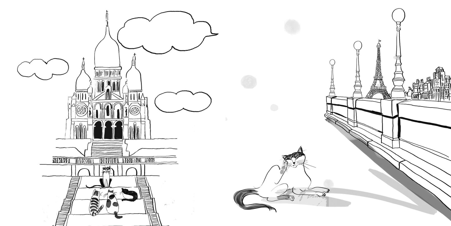 Cats in Paris: A Magical Coloring Book