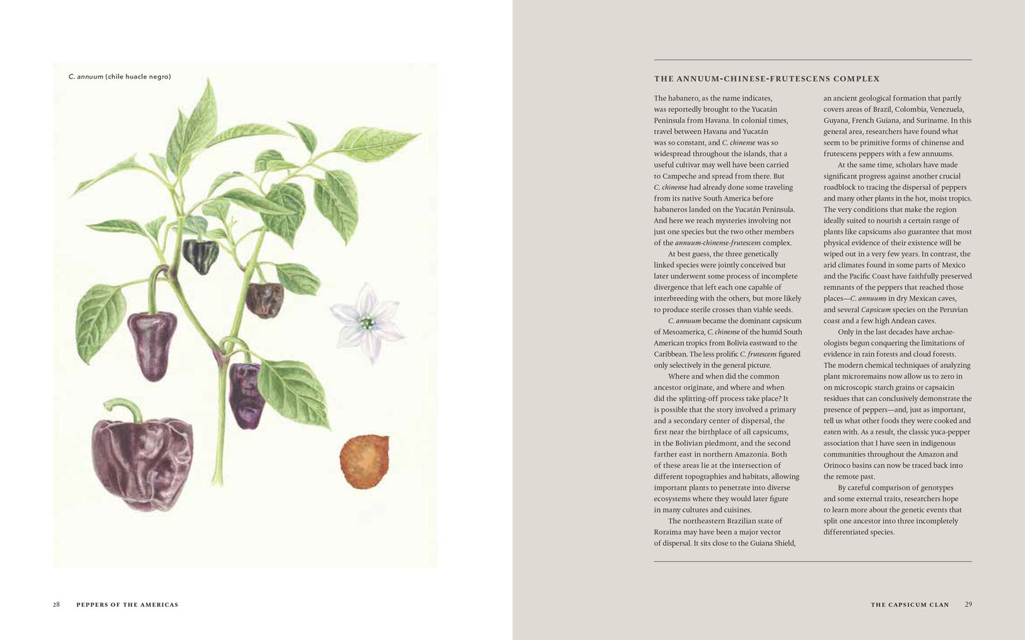 Peppers of the Americas: The Remarkable Capsicums That Forever Changed Flavor