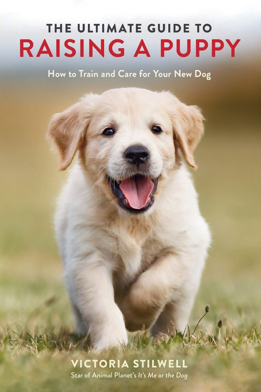 The Ultimate Guide to Raising a Puppy : How to Train and Care for Your New Dog