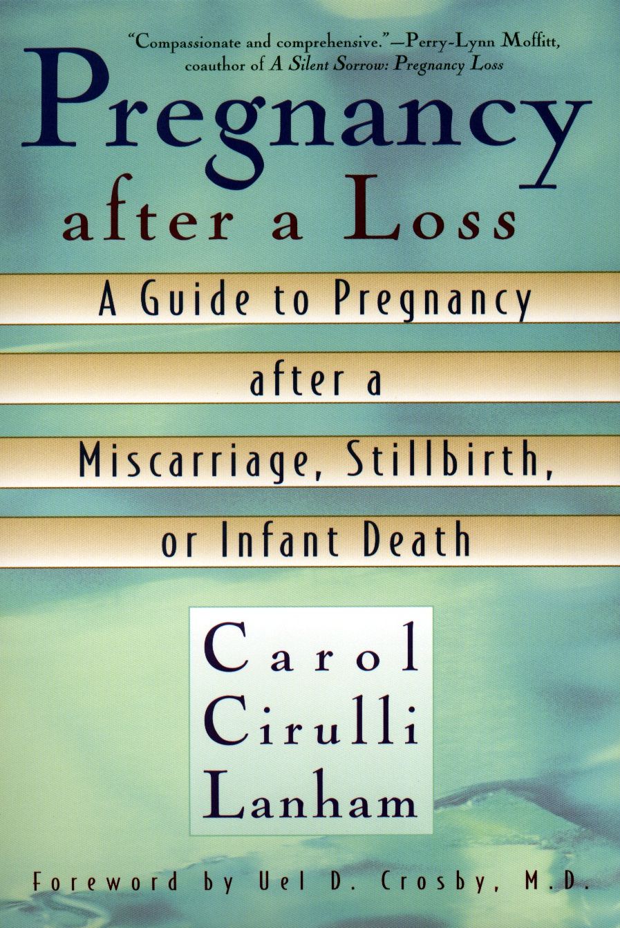 Pregnancy after a Loss: A Guide to Pregnancy after a Miscarriage, Stillbirth, or Infant Death