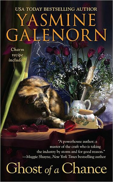 Ghost of a Chance (Chintz and China Mystery Series #1)