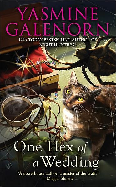One Hex of a Wedding (Chintz and China Mystery Series #5)