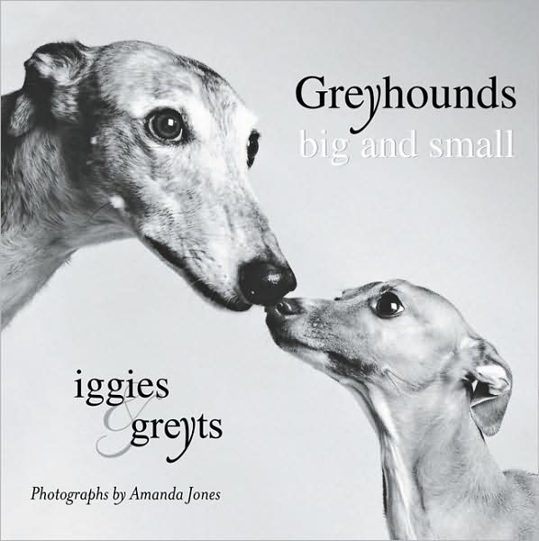 Greyhounds Big and Small: Iggies & Greyts