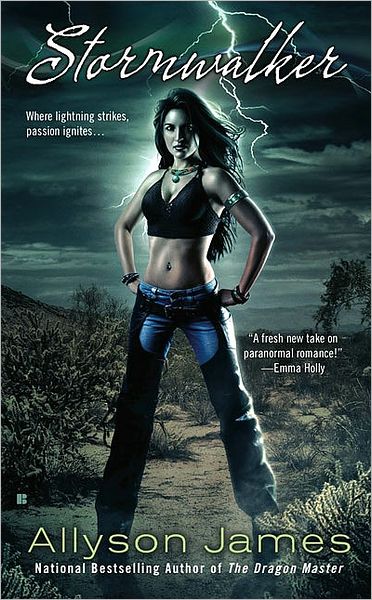 Stormwalker (Stormwalker Series #1)