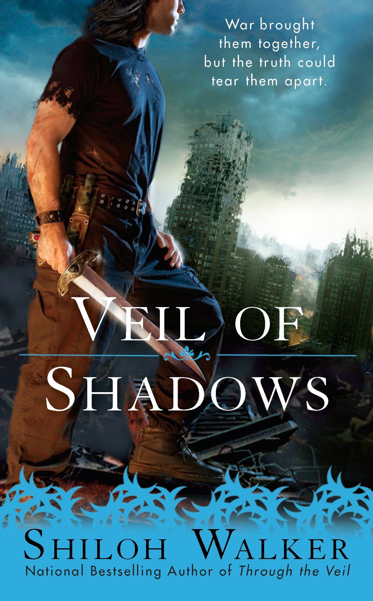 Veil of Shadows (Shiloh Walker's Veil Series #2)
