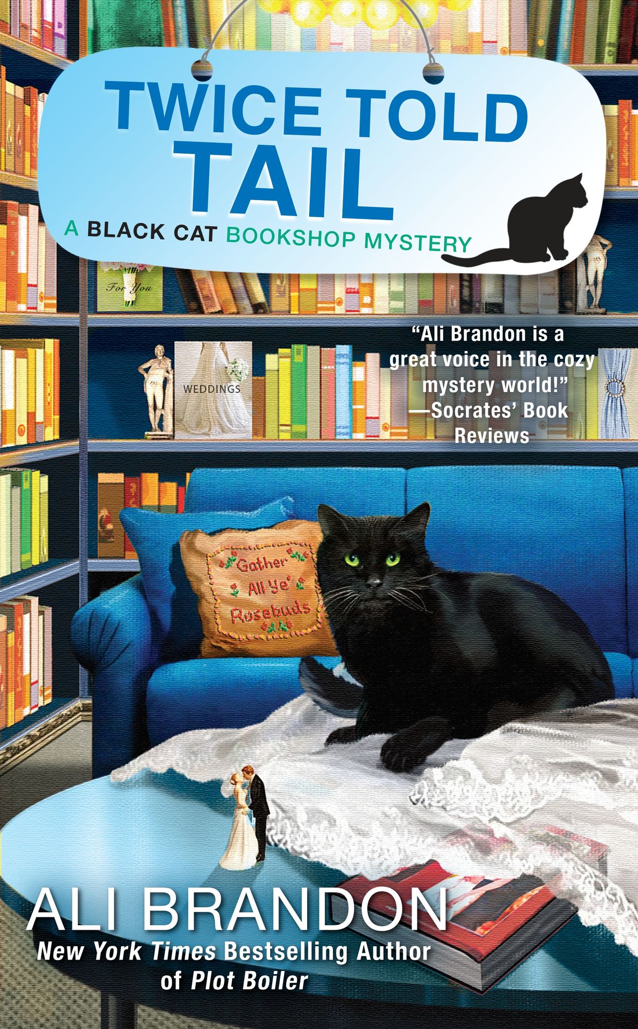 Twice Told Tail (Black Cat Bookshop Series #6)