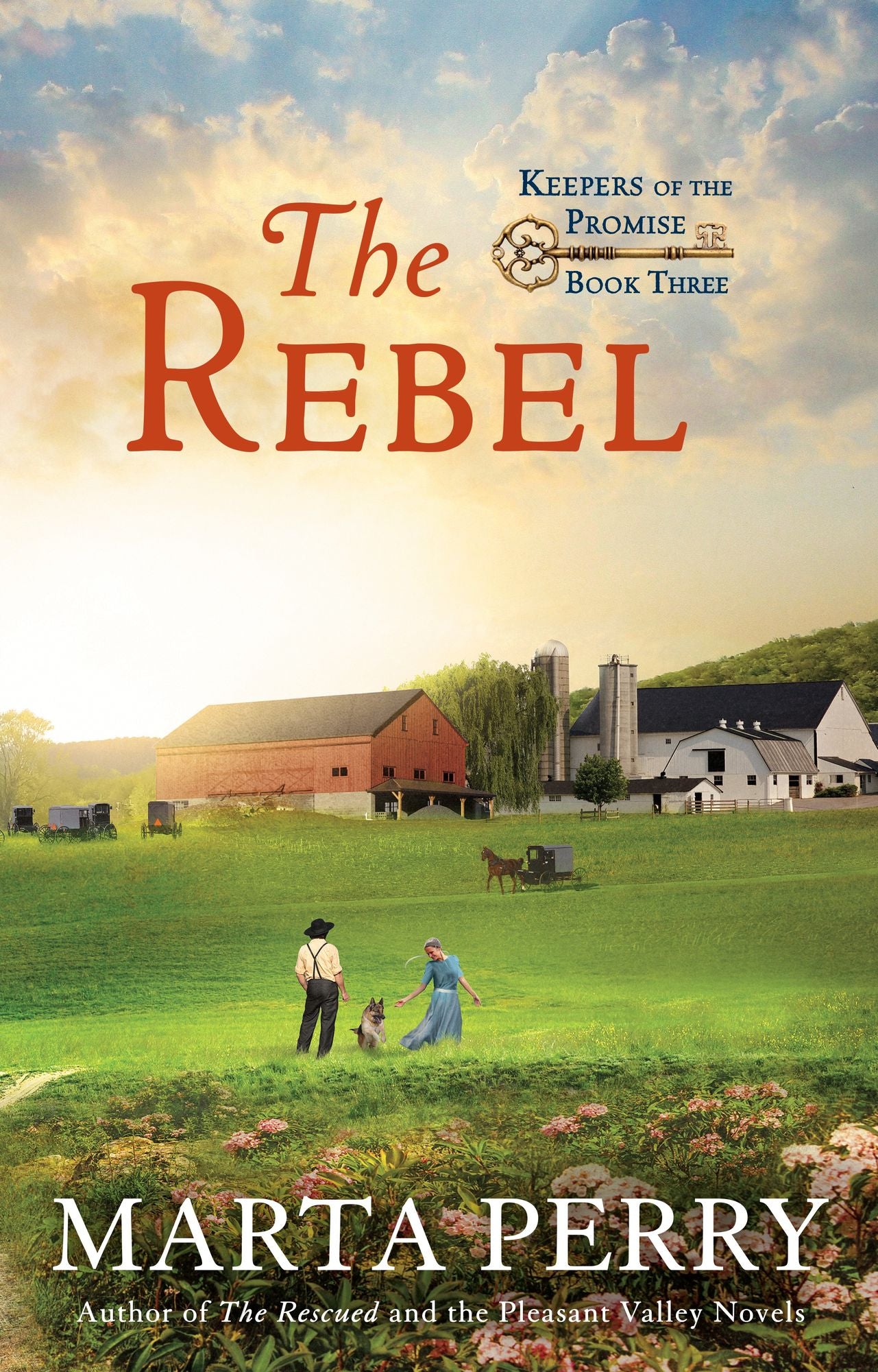 The Rebel: Keepers of the Promise, Book Three