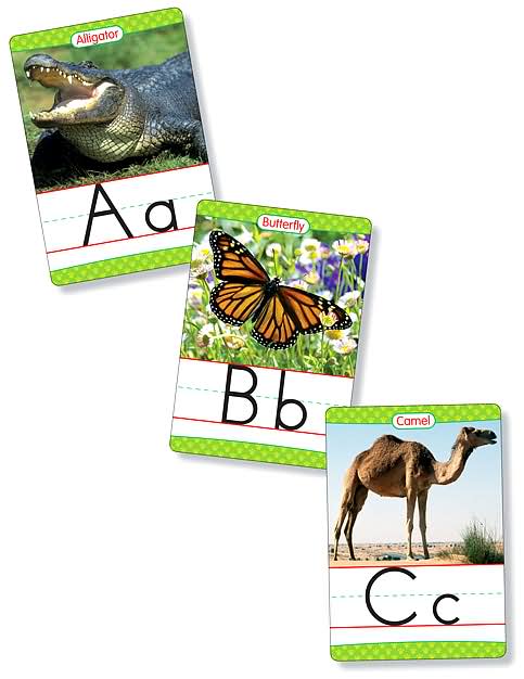 Animals From A to Z Alphabet Set: Manuscript: 26 Ready-to-Display Letter Cards With Fabulous Photos of Animals, Grades K-3