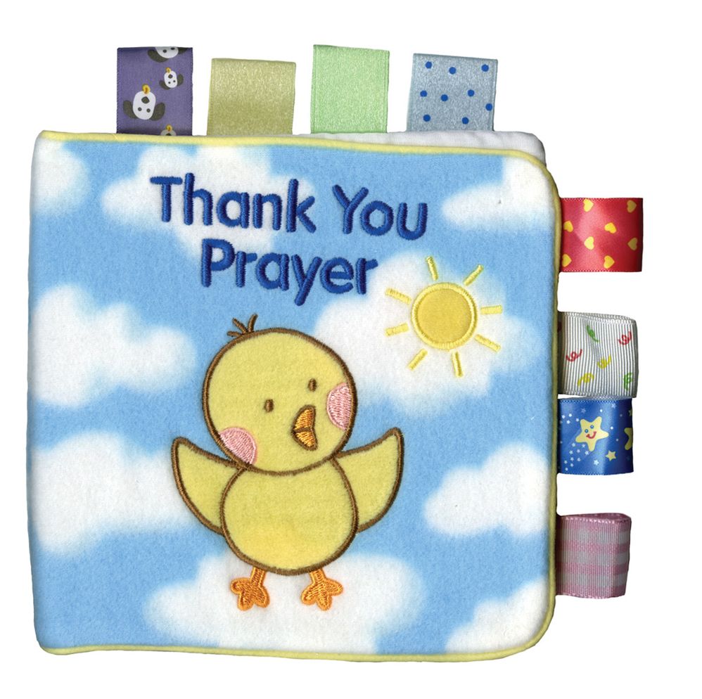 Thank You Prayer: My First Taggies Book