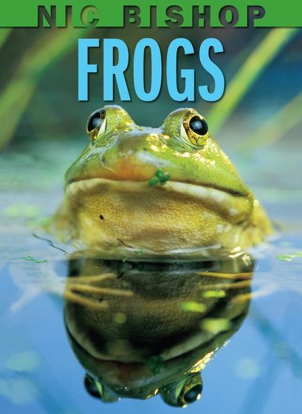 Frogs