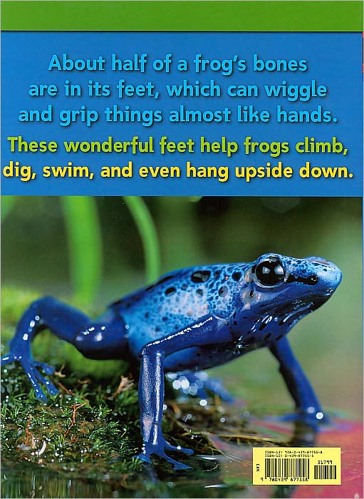 Frogs