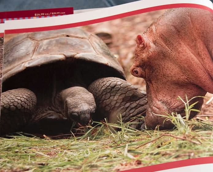 Owen & Mzee: The Language of Friendship