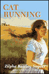 Cat Running
