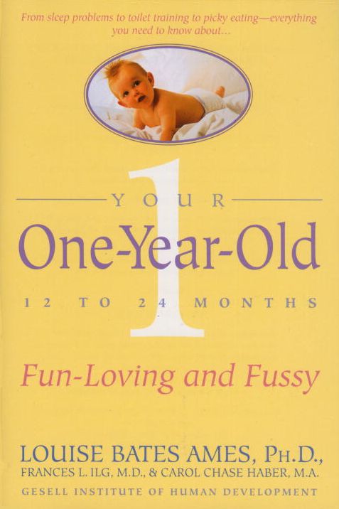 Your One Year Old: The Fun-Loving, Fussy 12-to-24-Month Old