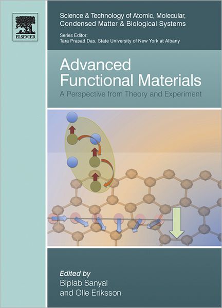 Advanced Functional Materials: A Perspective from Theory and Experiment