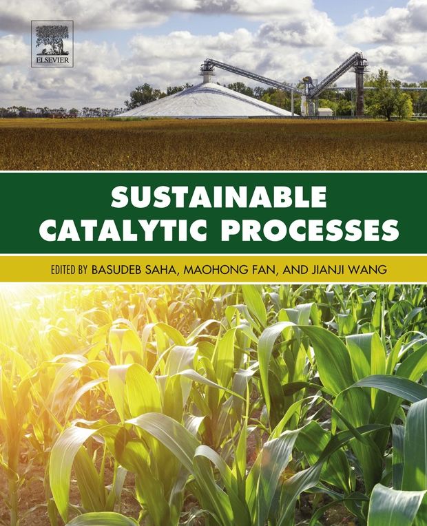 Sustainable Catalytic Processes