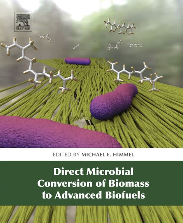 Direct Microbial Conversion of Biomass to Advanced Biofuels