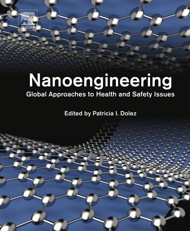 Nanoengineering: Global Approaches to Health and Safety Issues