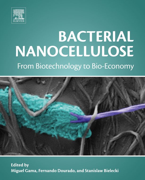 Bacterial Nanocellulose: From Biotechnology to Bio-Economy