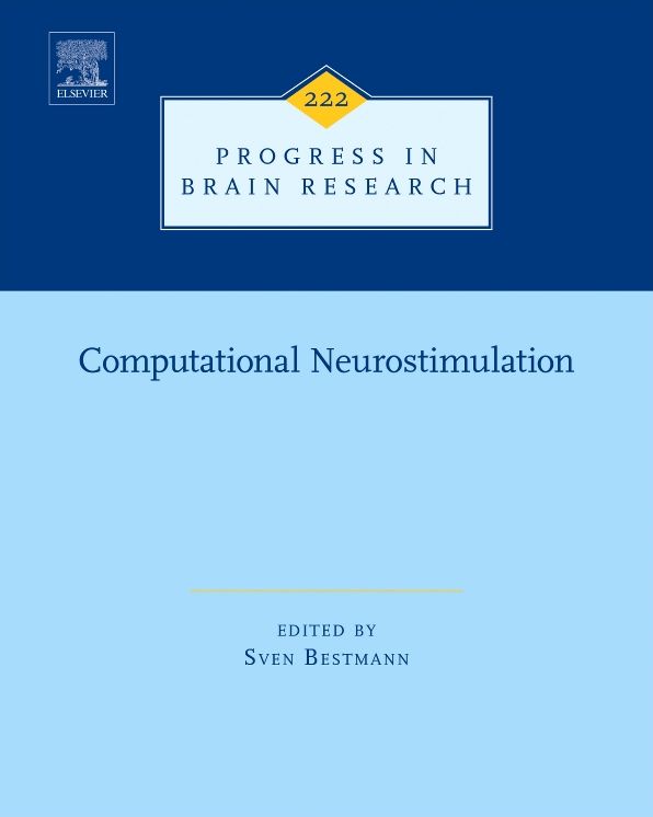 Computational Neurostimulation