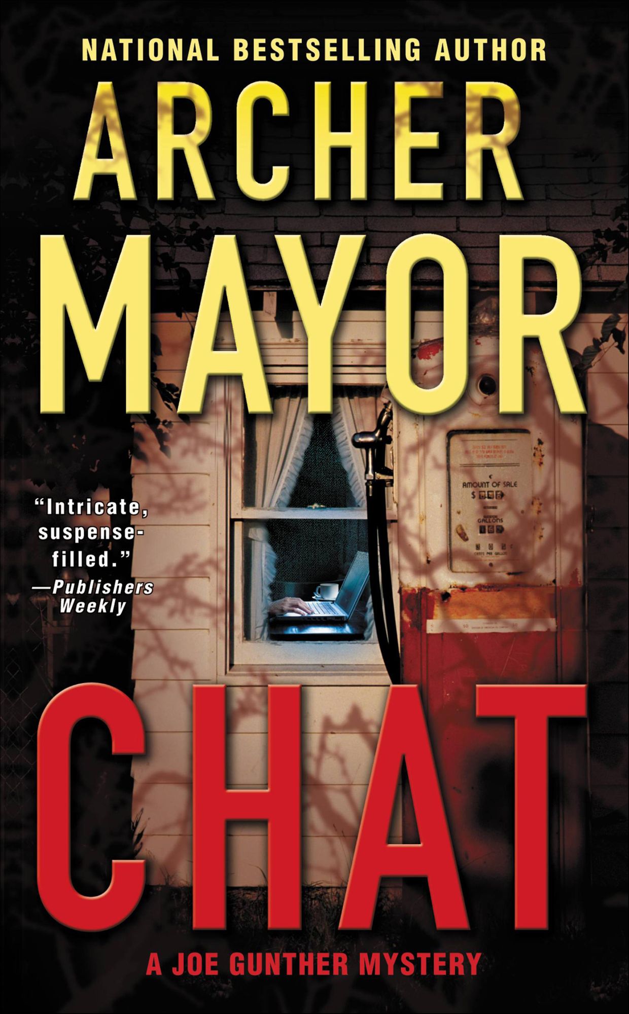 Chat (Joe Gunther Series #18)