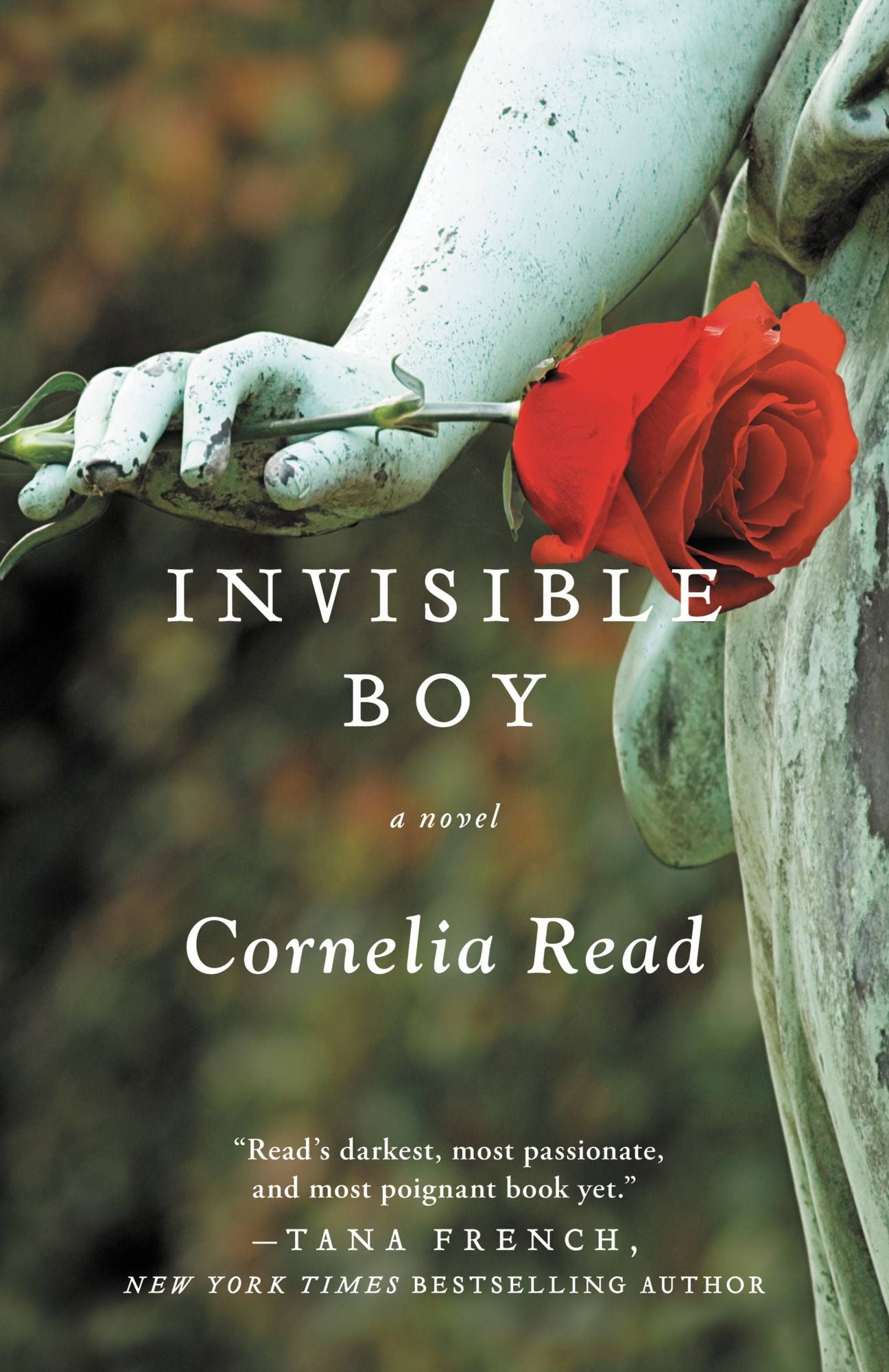 Invisible Boy (Madeline Dare Series #3)
