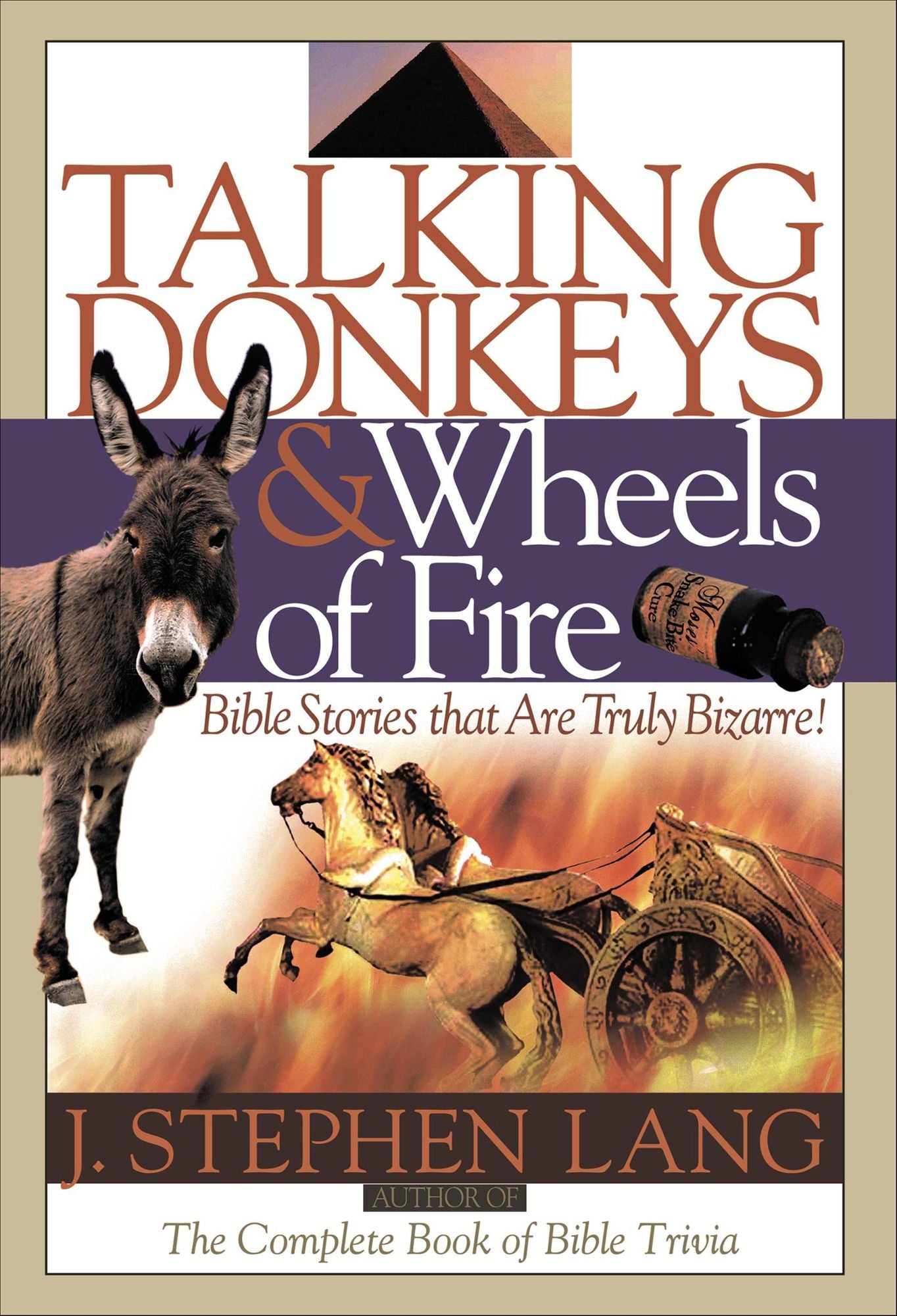 Talking Donkeys and Wheels of Fire: Bible Stories That are Truly Bizarre