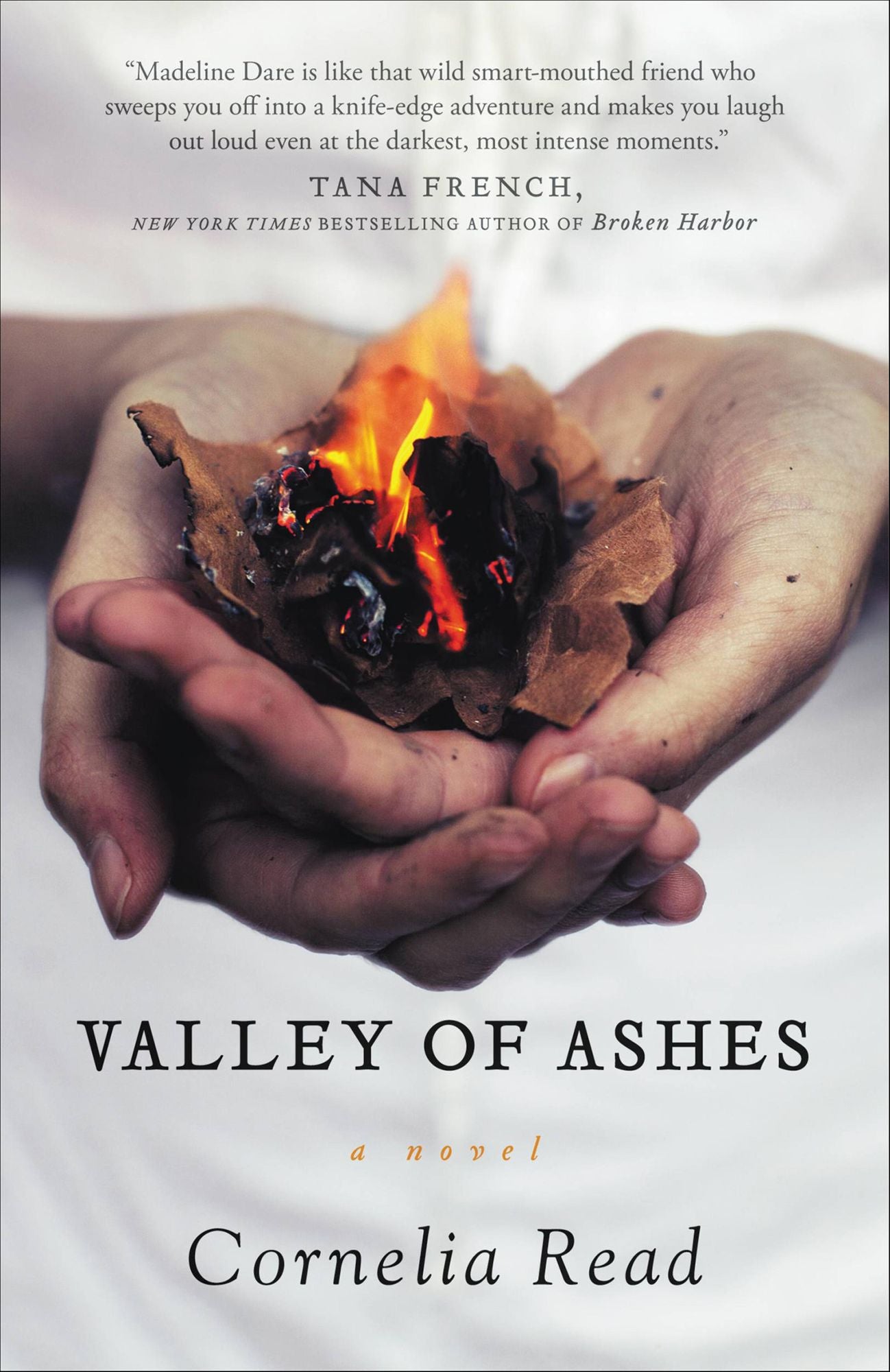 Valley of Ashes (Madeline Dare Series #4)