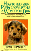 How to Help Your Puppy Grow up to Be a Wonderful Dog
