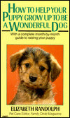 How to Help Your Puppy Grow up to Be a Wonderful Dog